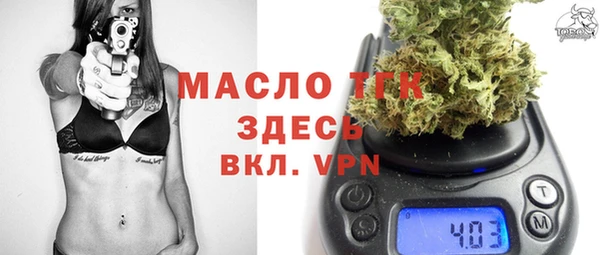 амф Ельня