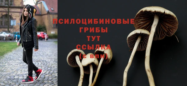 дмт Елабуга