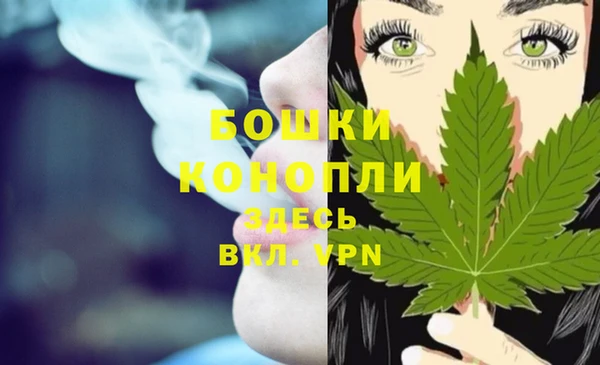 амф Ельня