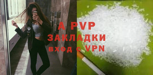 амф Ельня