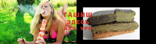 ALPHA PVP Елизово