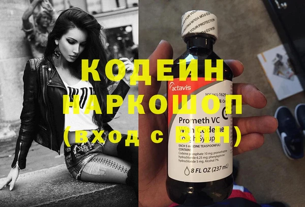 амф Ельня