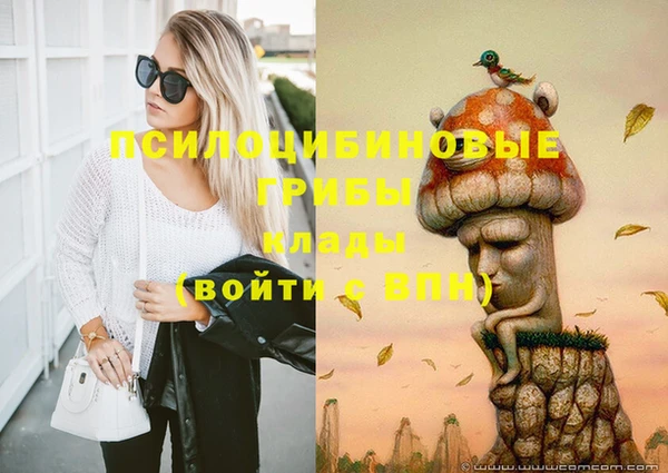 дмт Елабуга