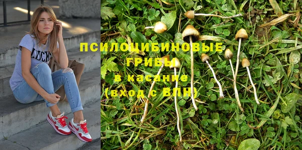 амф Ельня