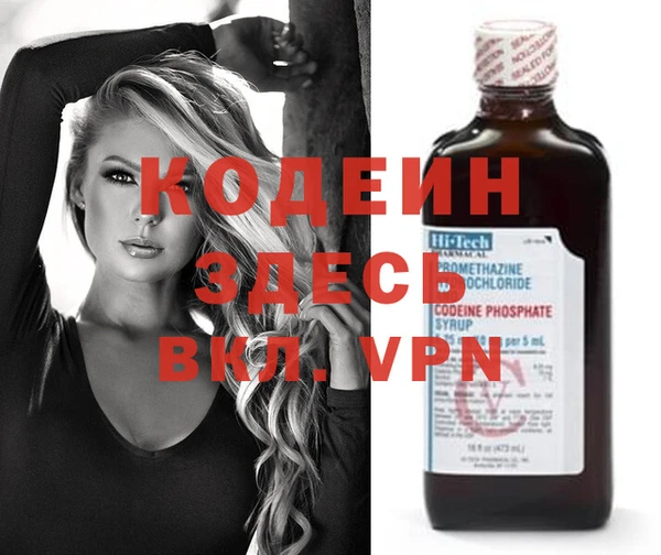 амф Ельня