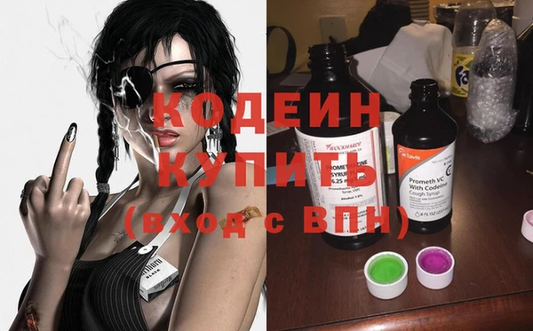 амф Ельня