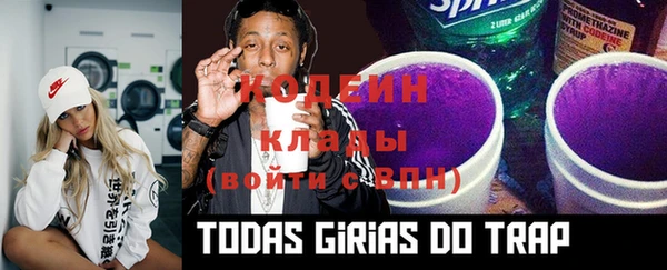 дмт Елабуга