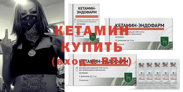 амф Ельня